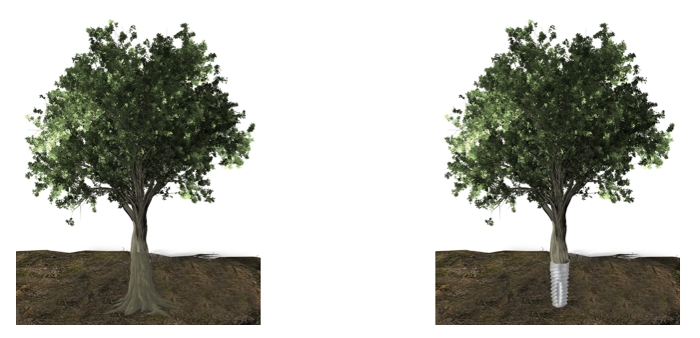 Zahnimplantat Baum AllDent